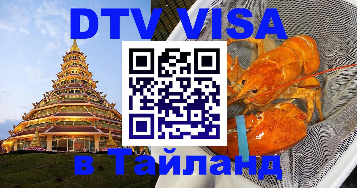 Оформление DTV визы под ключ: стоимость и тарифы, только загранпаспорт - 08.01.2026 